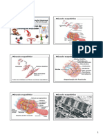 06 - Aspectos Fisiologicos Da Contracao Muscular