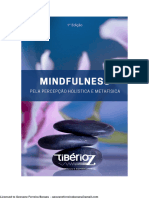 Mindfulness Pela Percepção Holística e Metafísica - Tiberio Z