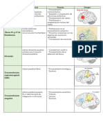 Áreas Corticales y Subcorticales Del Cerebro