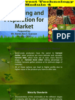 Harvesting Crops and Preparation For Market