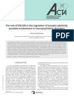 The Role of DSCAM in The Regulation of Synaptic Plasticity Possible Involvement in Neuropsychiatric Disorders