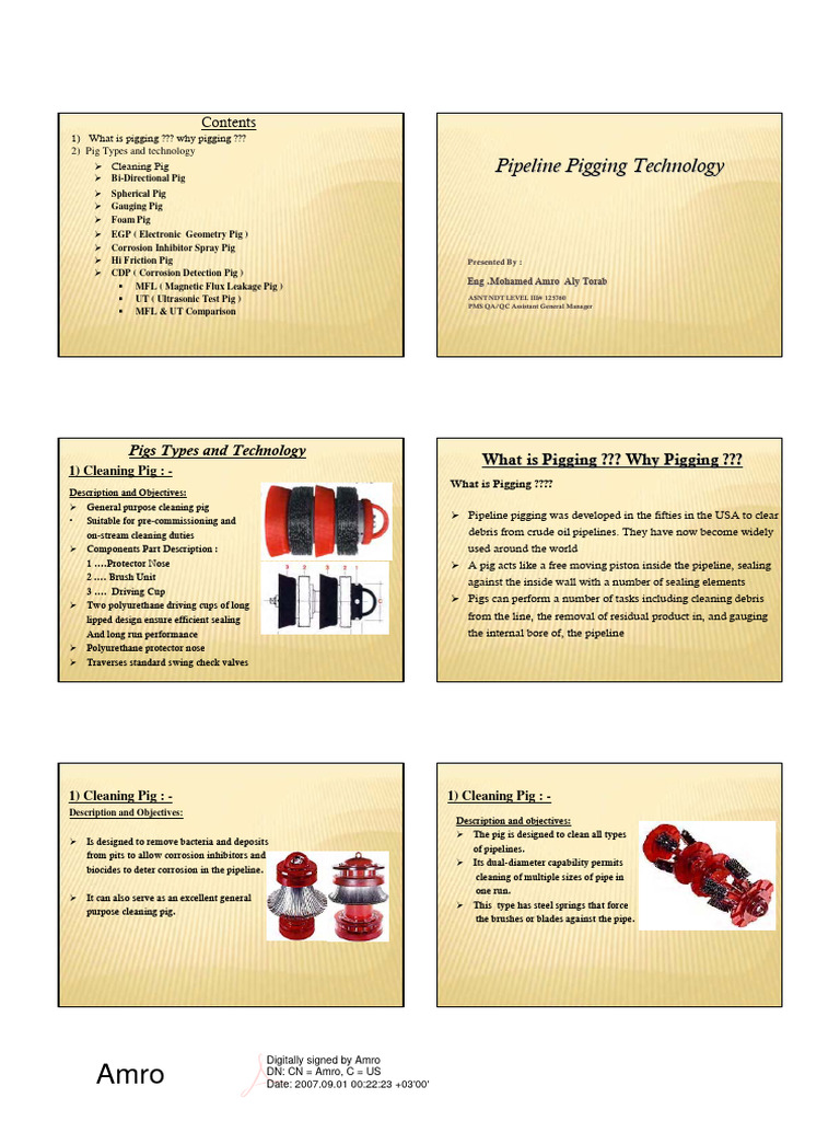 Pipeline Pigging Technology Overview | PDF | Ultrasound | Pipe (Fluid ...