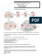 Ficha de Trabalho - Hipotese Endossinbitica