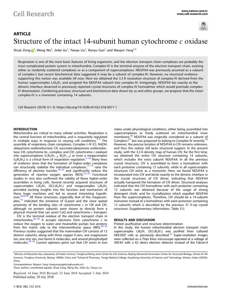 Human Cytochrome c Oxidase Structure | PDF | Electron Transport Chain ...