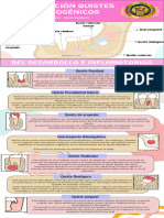 Clasificacion Quistes