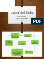 Diarrea Viral Bovina Cadena Epidemiologica