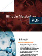 Bilirubin Metabolism