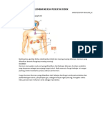 Nayla Salsabilla - LKPD - SISTEM REGULASI - 02