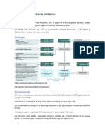 Anemia Por Deficiencia de Hierro