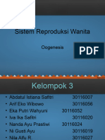 Sistem Reproduksi Wanita