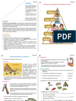 Organización Social Del Virreinato Del Perú - 4to Grado