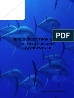 Biologie Et Thon Rouge Au Méditerranée Occidentale 