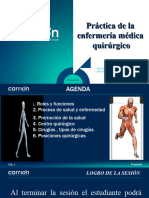 PRÁCTICA DE LA ENFERMERÍA MEDICO QUIRÚRGICO /asistencia Al Usuario Quirúrgico