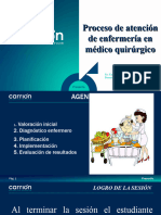 PROCESO DE ATENCIÓN DE ENFERMERÍA EN MEDICO QUIRÚRGICO /asistencia Al Usuario Quirúrgico