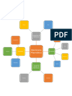 Mapa Mental Menbrana Plamática
