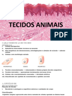 TECIDOS ANIMAIS - 2020