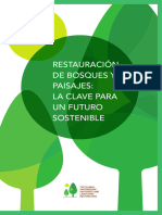 Restauración de Bosques y Paisajes: La Clave para Un Futuro Sostenible