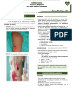 Ortopedia 02 Fraturas Expostas