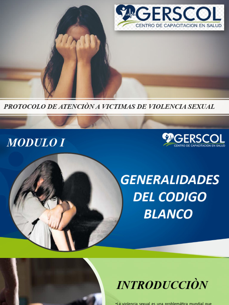 Protocolo de Atención a Víctimas de Violencia Sexual | PDF | Violencia ...