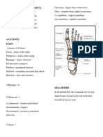 Lower Limb Notes