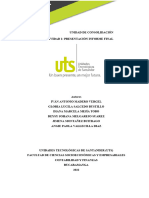 Informe Final Laboratorio Empresarial