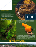 Tema 4 Deforestación y Fragmentación de Bosques Tropicales