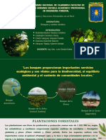 Tema 2 Bosques y Recursos Forestales en El Perú