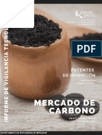 Informe PP - Mercado de Carbono