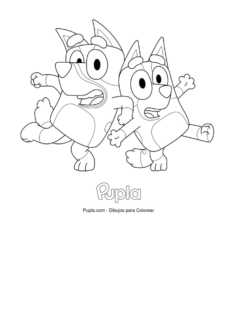 Bluey y Bingo Son Tontos | PDF