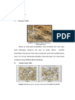 PEMBAHSAN SMEAR SLIDE Gmliel