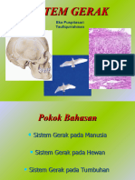 Sistem Gerak Manusia Hewan Tumbuhan - Eka&Taufiq