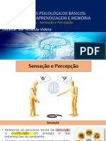 PPB - Slides Percepção