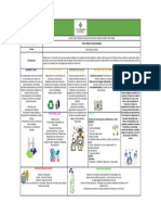 Modelos Innovadores CANVAS - .XLSX - CANVAS