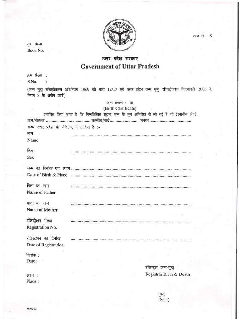 APPLICATION FORMAT FOR BIRTH CERTIFICATE IN HINDI visual data 2