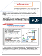 Role Des Pigments Chlorophylliens Dans La Captation de Lenergie Lumineuse PDF 3