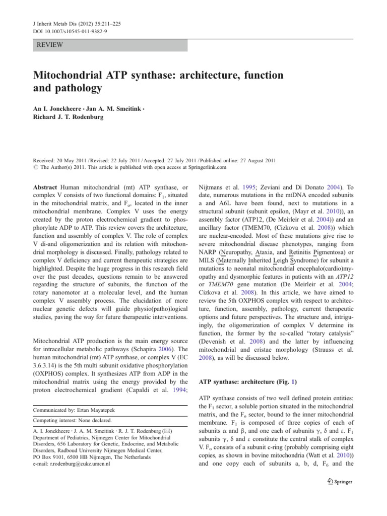 Mitochondrial ATP Synthase | PDF | Mitochondrion | Molecular Biology