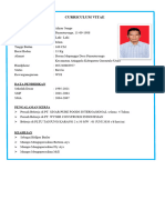 Curriculum Vitae Ahyar