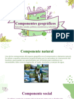 Componentes Del Espacio Geográfico