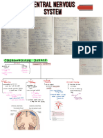 CNS Pathology