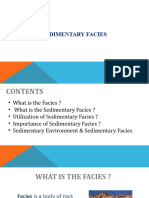 Sedimentary Facies