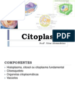 Citoplasma - Aula