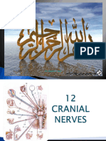 12 Cranial Nerves