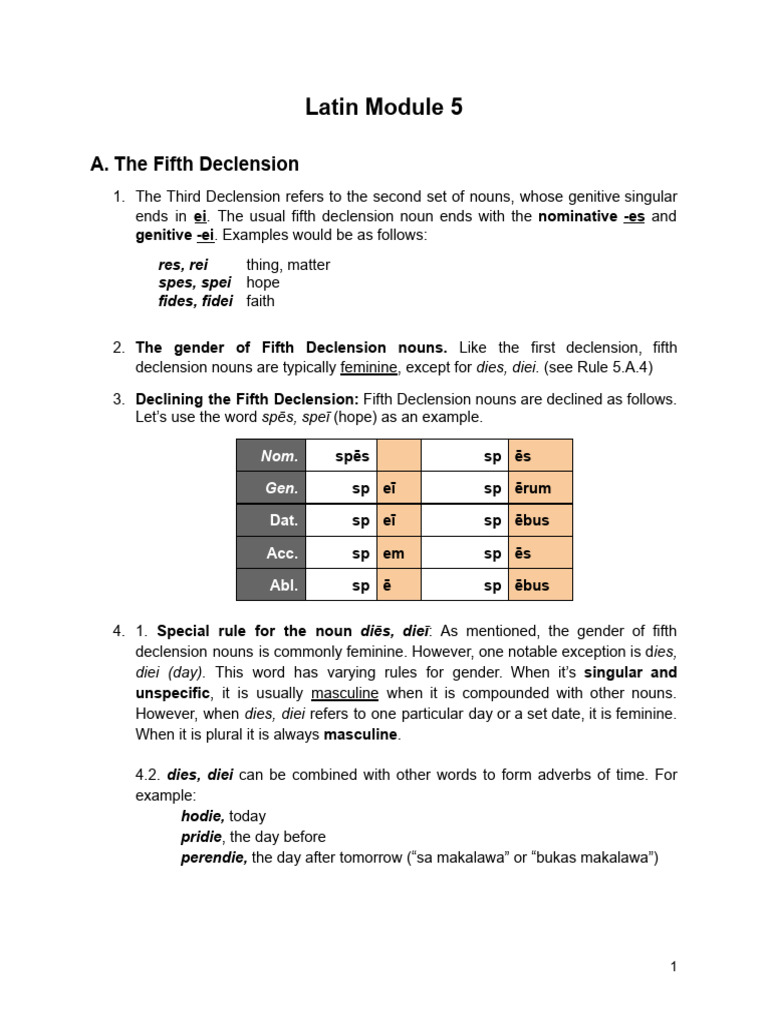 Understanding Latin Fifth Declension | PDF | Grammatical Gender ...