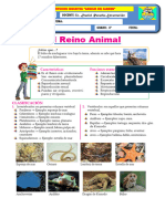 4º Guia 7 Biologia - Reino Animal