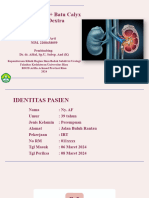 Laporan Divisi Urologi - Ayu Trisya Arti - 2208438059