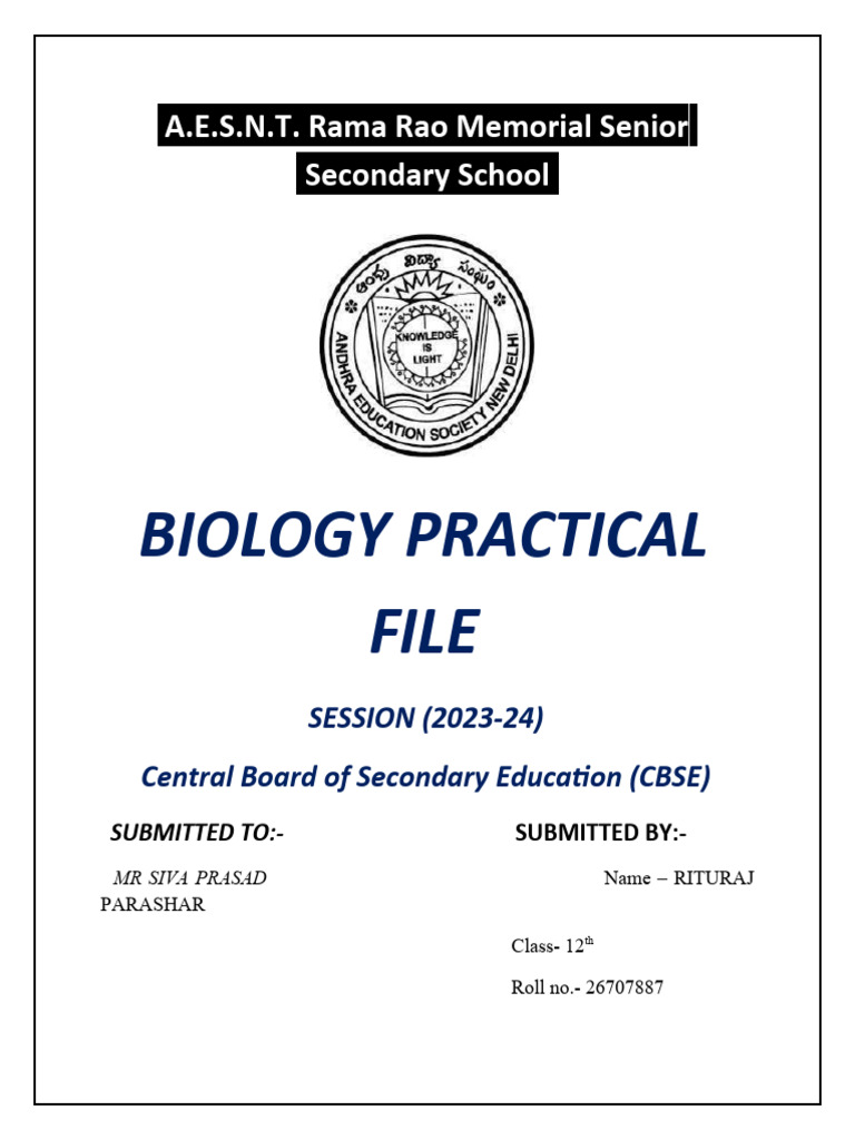 Full Wave Rectifier Pdf Rectifier Capacitor