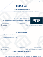 Tema 40 PDF