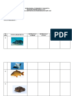 Worksheet Vertebrata Fix