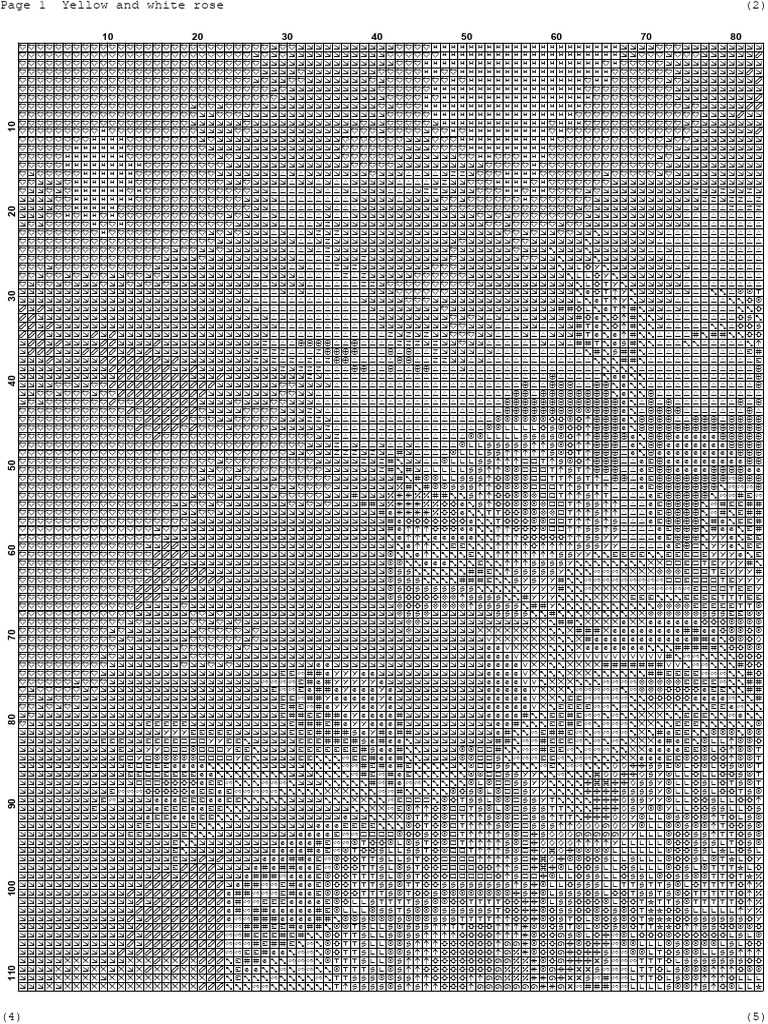 yellow-and-white-roses-pdf
