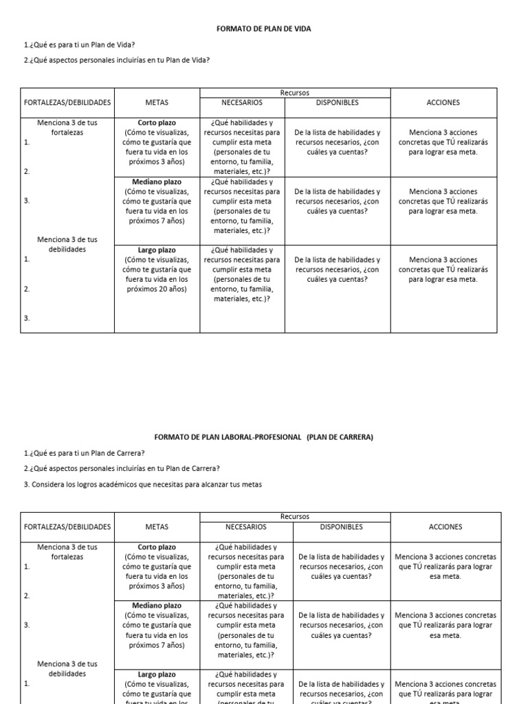 Formato para Plan de Vida y Carrera | PDF